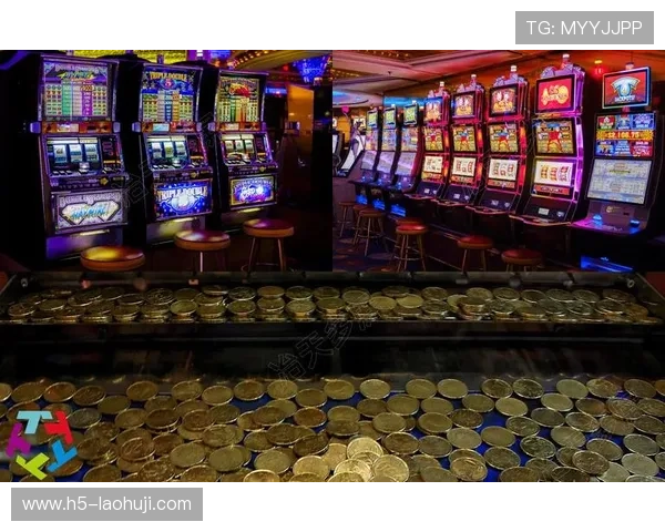 老虎机官方入口平台的排行榜，汇总优质在线娱乐场推荐