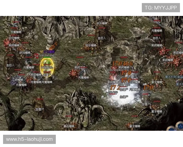 老虎机规则如下：详细介绍游戏流程与奖励机制